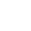 icons8-wordpress-500