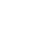 wordpress-icon